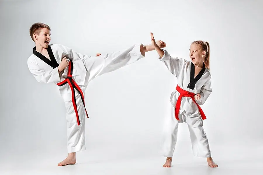 Family Martial Arts Classes | Northwest Wado-ryu