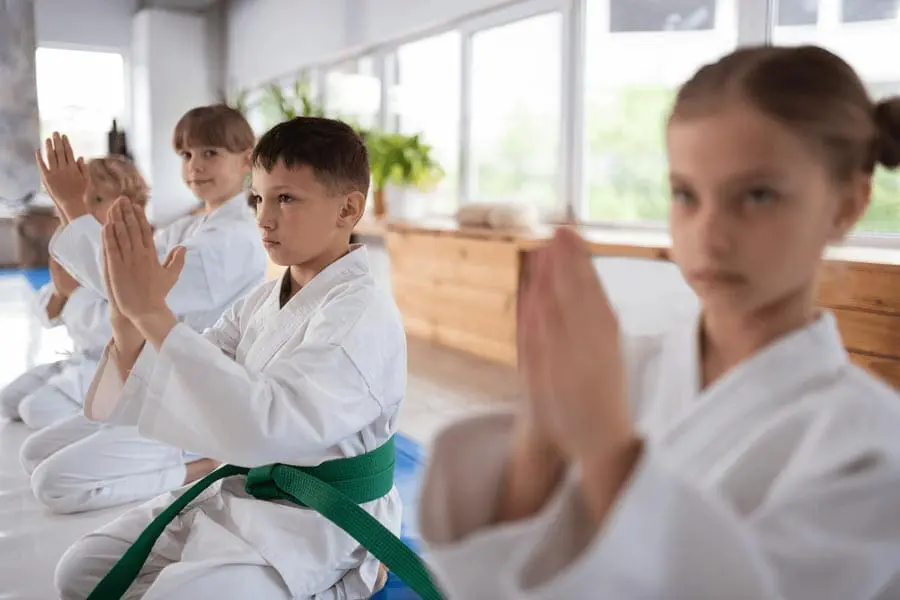 Family Martial Arts Classes | Northwest Wado-ryu