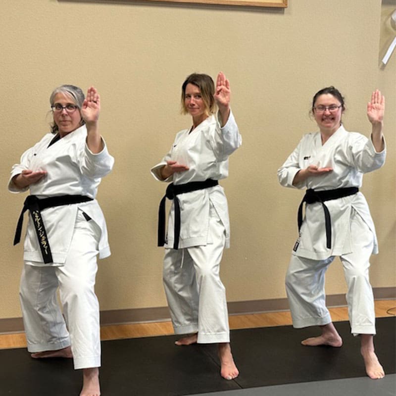 Adult Martial Arts Classes | Northwest Wado-ryu