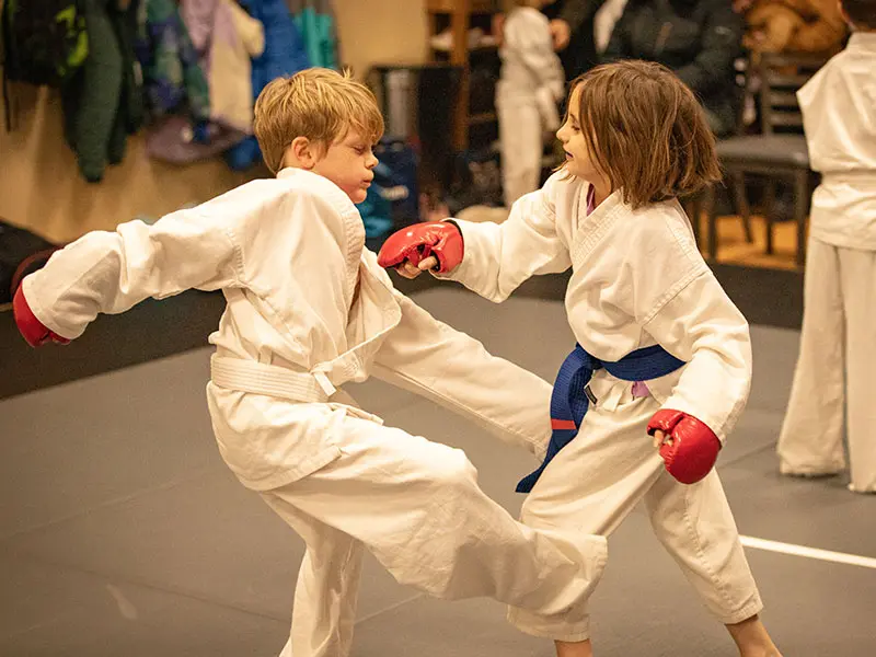 Kids Martial Arts Classes | Northwest Wado-ryu