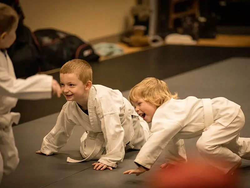 Preschool Martial Arts Classes | Northwest Wado-ryu