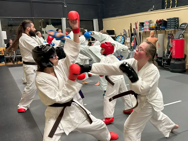 Teen Martial Arts Classes | Northwest Wado-ryu