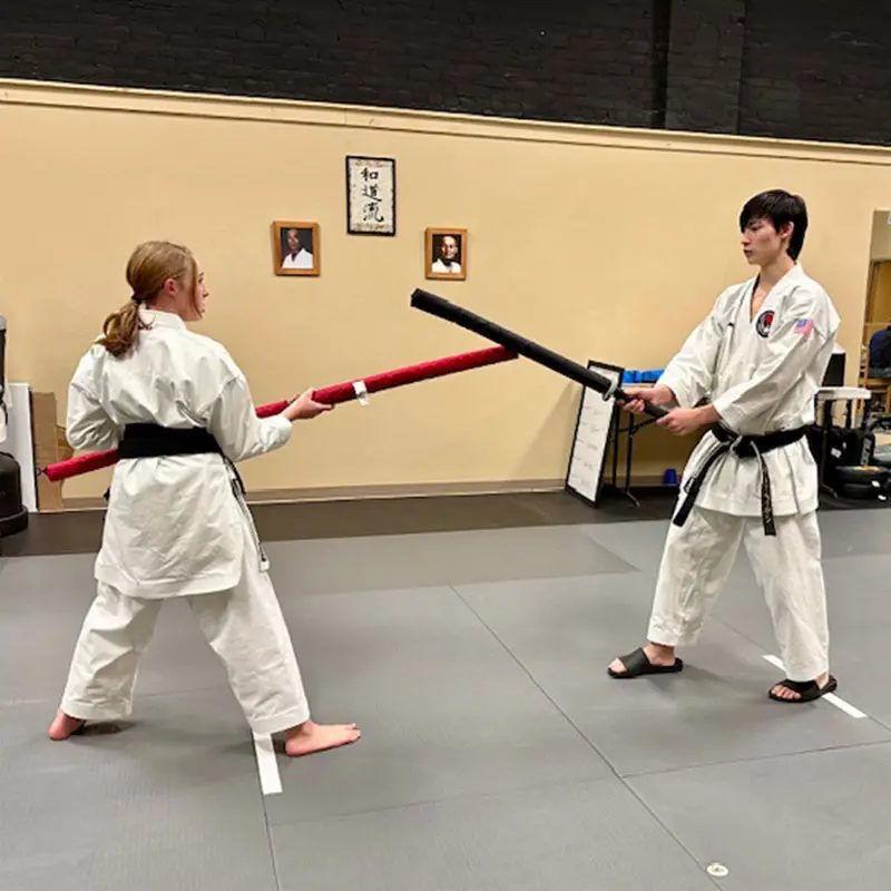 Self-Defense Classes | Northwest Wado-ryu