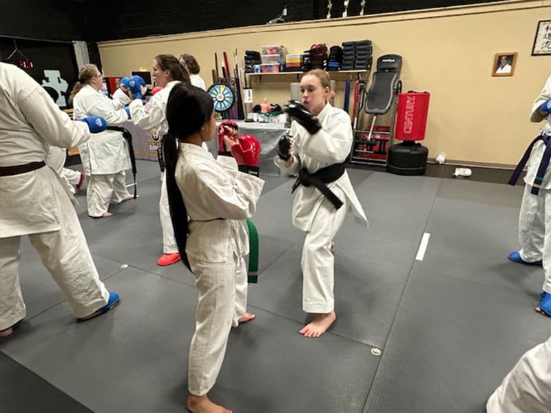 Teen Martial Arts Classes | Northwest Wado-ryu